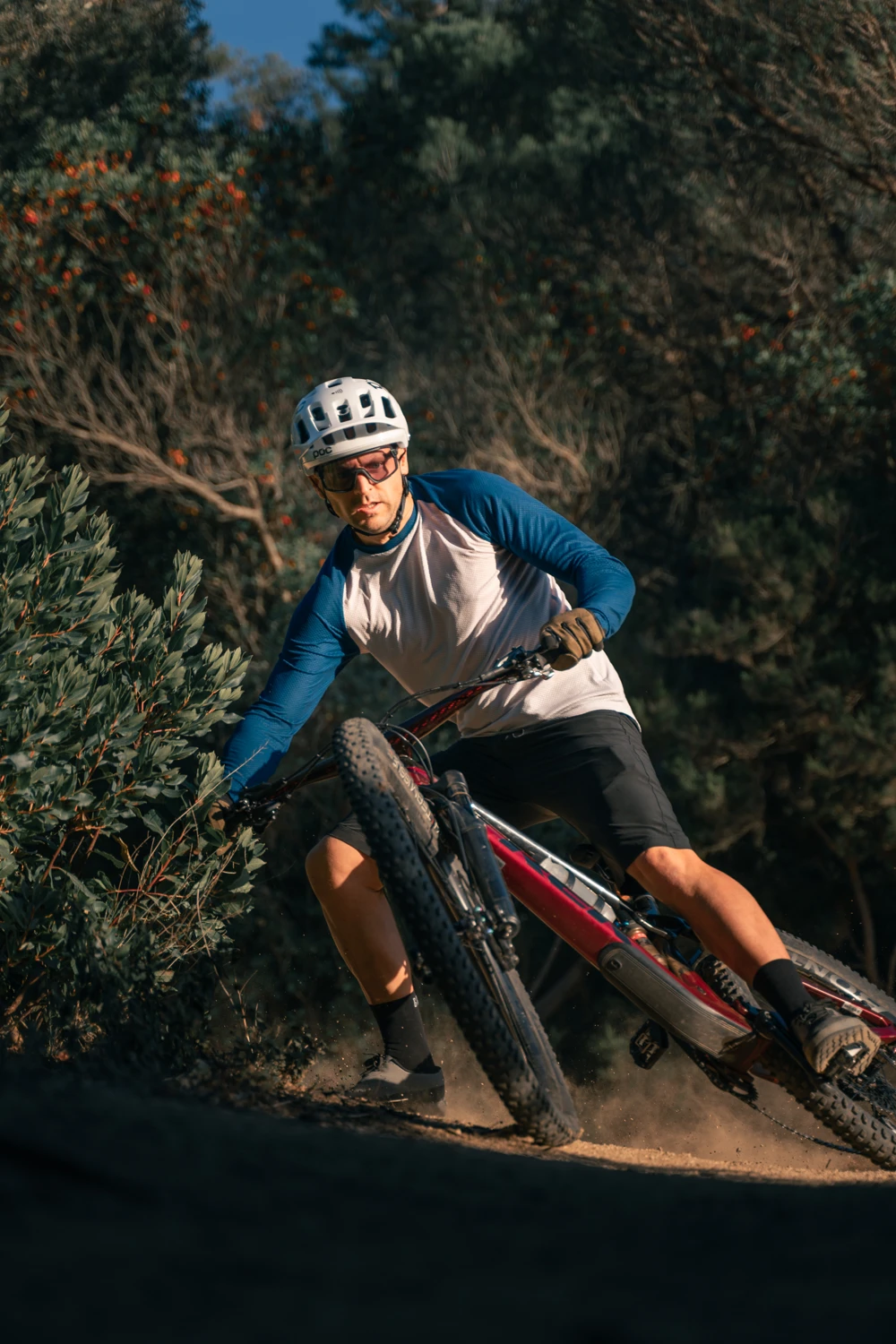 Bike Infinium BC 5-finger Hestra Bike Infinium BC 5-finger -Hestra 301 64560d8bf5 39490 870 2 original