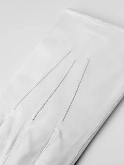 Hestra Glacé Parade Glove 5 Hestra Glacé Parade Glove -Hestra 323 68673141b5 21000 000 4 original