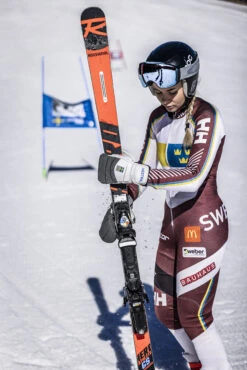 Hestra Gripen GS Mitt -Hestra 447 7815fa9395 d5a7318 original