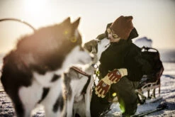 Hestra Sarek Ecocuir 5-finger 9 Hestra Sarek Ecocuir 5-finger -Hestra 499 5b3064859f e1a7003 original