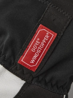 Hestra Windstopper Action Coach 5-finger 6 Hestra Windstopper Action Coach 5-finger -Hestra 659 5f99c2fec0 37400 100 2 original