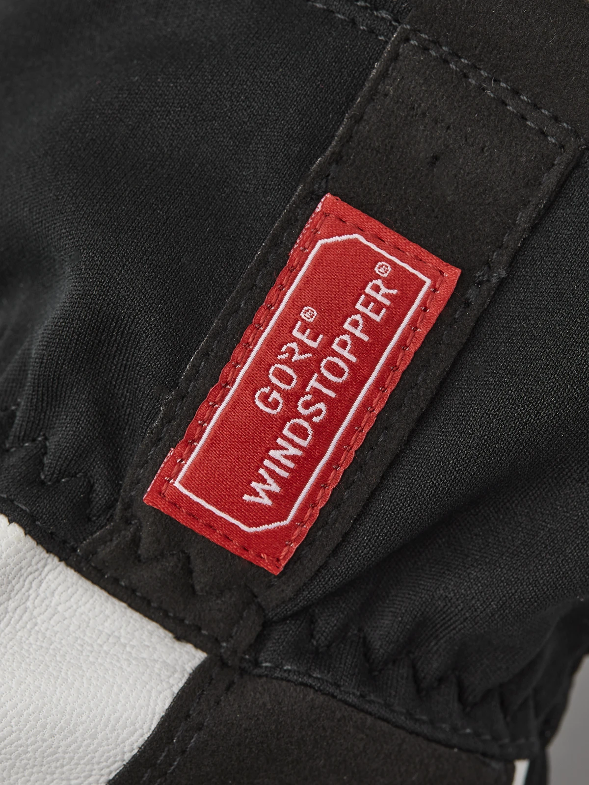 Windstopper Action Coach 5-finger Hestra Windstopper Action Coach 5-finger -Hestra 659 5f99c2fec0 37400 100 2 original